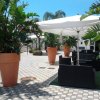 Cortile con pavimento a scacchiera, grandi piante in vasi, ombrellone bianco e sedute.