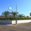 Un edificio circondato da palme e vegetazione su una strada soleggiata.