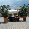 Cortile piastrellato con ombrellone bianco, piante in vasi grandi e arredamento da esterno.