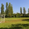 Campo da calcio con erba verde e alberi sullo sfondo.