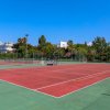 Un campo da basket all'aperto con tabellone e cerchio, circondato da alberi e recinzione.