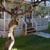 Casetta bianca con veranda e albero nel giardino.