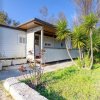 Casa moderna con piante verdi e vialetto in cemento.
