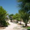 Costa Merlata Camping Village (BR) Puglia