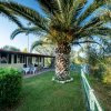 Bungalow con veranda in legno e palma accanto.