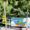 Contenitori per la raccolta differenziata tra alberi e cespugli.