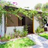 Un bungalow con piante rampicanti e un vialetto in un giardino verde.