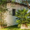 Piccola casa bianca con finestre, circondata da piante e alberi, in un giardino verde.