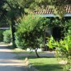 Sentiero alberato con giardino e villette al lato.