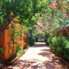 Sentiero ombreggiato tra edifici arancioni e piante in fiore.