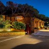 Ingresso Camping Etruria illuminato con vegetazione.