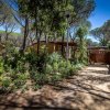 Sentiero lastricato tra bungalow immersi nella natura con alberi alti.