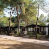 Bungalow in legno immersi in una pineta.