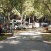 Camping Feniglia (GR) Toscana