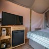 Interno di una tenda glamping con TV, mini-frigo e letto coperto da trapunta a righe blu.