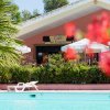 Piscina con sdraio di fronte al caffè color pesca, circondato da ombrelloni bianchi e piante.