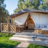 Tenda glamping con veranda in legno, divani bianchi e un piccolo gatto sul prato.
