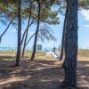 Sentiero sabbioso tra pini che conduce a un'area con vista sul mare.