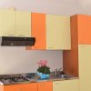 Cucina con armadietti multicolore, fornelli, lavello e una pianta fiorita al centro.
