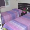 Due letti singoli con copriletti viola e rosa, una pianta su un comodino.