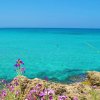 Baia Di Gallipoli Camping Village (LE) Puglia