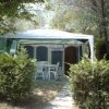 Tenda con sedie bianche, circondata da arbusti e alberi.