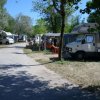 Camper parcheggiati lungo una strada sterrata con alberi intorno.