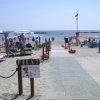 Spiaggia sabbiosa affollata, con ombrelloni blu e turisti che nuotano in mare.