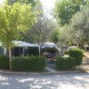Campeggio ombreggiato con tende tra alberi e siepi verdi.