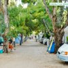 Un viale alberato con camper e tende su entrambi i lati.