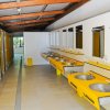 Bagno con cabine a destra e lavandini con specchi a sinistra, colorati di giallo brillante.