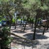 Una piazzola di campeggio con camper parcheggiati tra gli alberi.