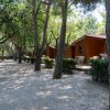 Una fila di bungalow in legno tra alberi e cespugli.