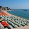 Vista aerea di una spiaggia con file di ombrelloni verdi, mare calmo.