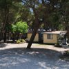 Piccole case tra gli alberi in un campeggio, con ombra e luce a chiazze sul terreno.