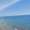 Spiaggia sabbiosa con mare calmo e cielo sereno.