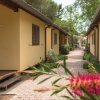 Vialetto tra bungalow gialli con una pianta fiorita in primo piano.
