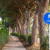 Un sentiero alberato con un cartello blu per pedoni e ciclisti.
