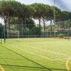 Campo da gioco verde con rete di recinzione e alberi sullo sfondo.