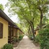 Un vialetto alberato tra bungalow gialli.