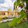 Esterni di bungalow gialli con terrazze, circondati da giardino verde e alberi.