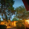 Bungalow illuminati tra alberi al tramonto.