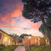 Cortile con edificio giallo, albero e cielo rosa al tramonto.