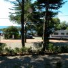 Un campeggio con roulotte e auto tra alberi, vicino al mare.