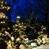 Alberi innevati con luci natalizie al tramonto.