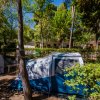 Tenda da campeggio blu tra alberi e arbusti su terreno boschivo.