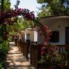 Un vialetto tra bungalow bianchi con archi di bouganville rosa.