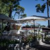 Una terrazza con tavolini e ombrelloni bianchi in un ambiente alberato.