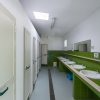 Bagno comune con lavandini e porte verdi.