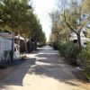 Un viale alberato con camper e roulotte su entrambi i lati.